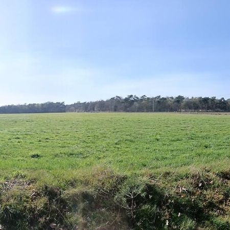 Kindvriendelijke Bungalow In Het Bos Bij Zwemmeer. Vilsteren Екстериор снимка
