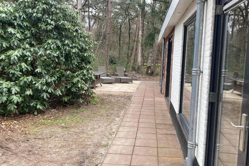 Kindvriendelijke Bungalow In Het Bos Bij Zwemmeer. Vilsteren Екстериор снимка