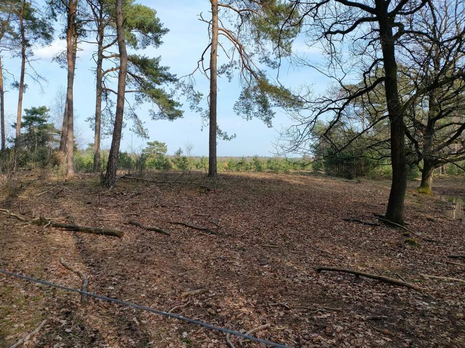 Kindvriendelijke Bungalow In Het Bos Bij Zwemmeer. Vilsteren Екстериор снимка