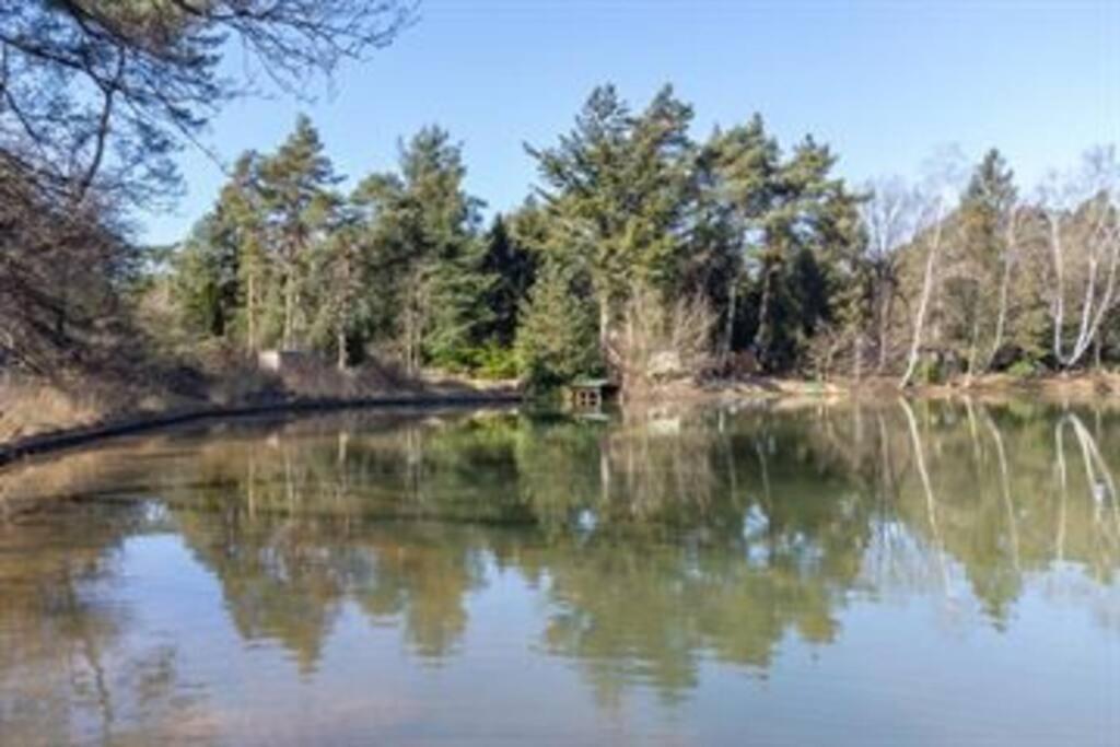 Kindvriendelijke Bungalow In Het Bos Bij Zwemmeer. Vilsteren Екстериор снимка