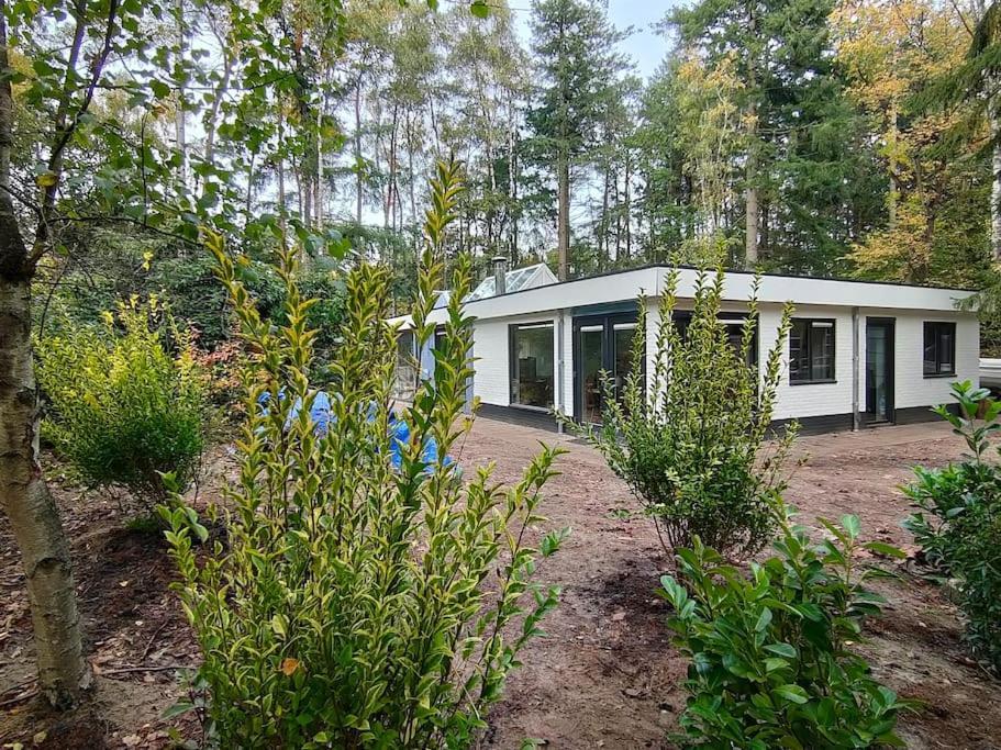 Kindvriendelijke Bungalow In Het Bos Bij Zwemmeer. Vilsteren Екстериор снимка