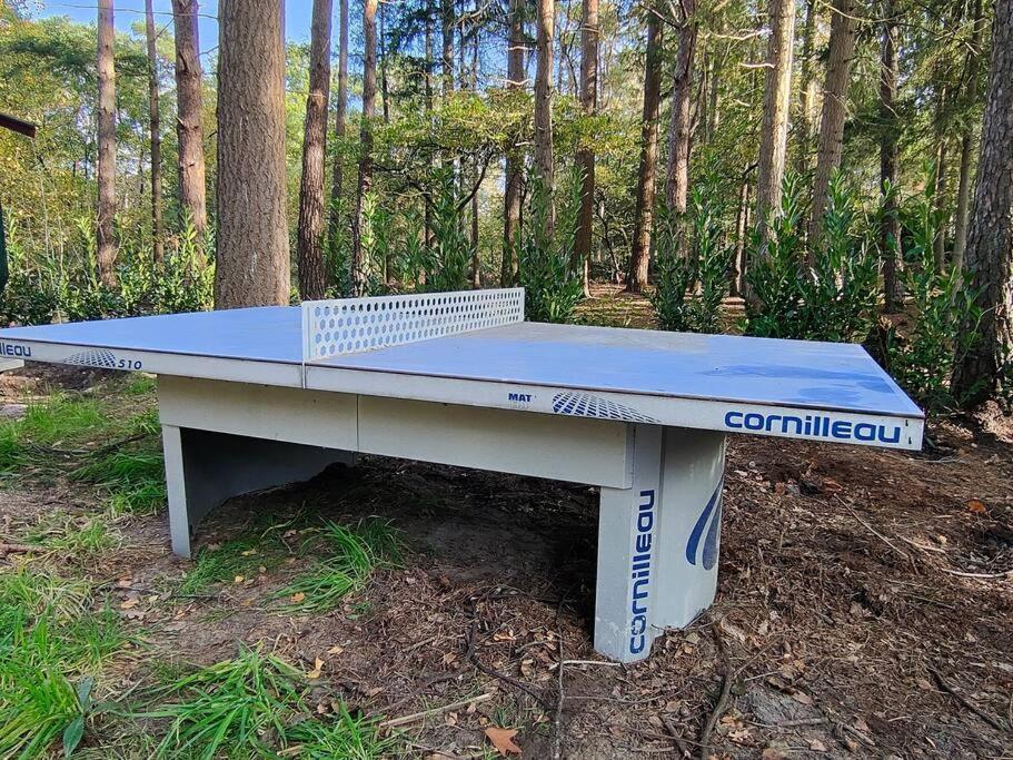 Kindvriendelijke Bungalow In Het Bos Bij Zwemmeer. Vilsteren Екстериор снимка