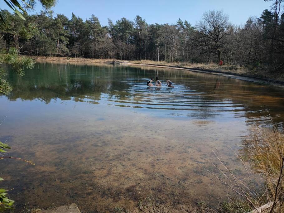 Kindvriendelijke Bungalow In Het Bos Bij Zwemmeer. Vilsteren Екстериор снимка