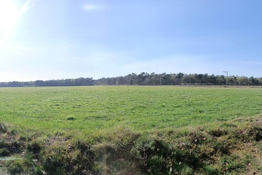 Kindvriendelijke Bungalow In Het Bos Bij Zwemmeer. Vilsteren Екстериор снимка